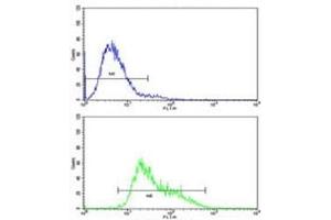 Flow cytometric analysis of CEM cells using IGHA1 antibody (bottom histogram) compared to a negative control (top histogram). (IGHA1 antibody  (AA 257-286))