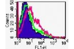 Image no. 1 for anti-Tumor Necrosis Factor Receptor Superfamily, Member 18 (TNFRSF18) antibody (ABIN207698) (TNFRSF18 antibody)