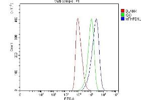 Flow Cytometry analysis of HEL cells using anti-MTHFD1L antibody (ABIN7601728). (MTHFD1L antibody  (AA 43-833))