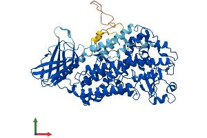 AlphaFold protein structure predicition of Mouse Recombinant Aloxe3 Protein, UniprotID Q9WV07 (ALOXE3 Protein (AA 1-711) (His tag))