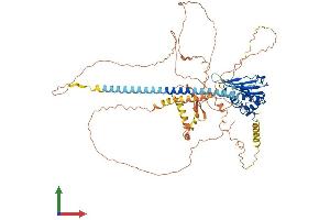 AlphaFold protein structure predicition of Human Recombinant TSPYL2 Protein, UniprotID Q9H2G4 (TSPY-Like 2 Protein (TSPYL2) (AA 1-693) (His tag))