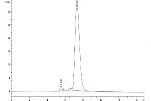 The purity of Mouse PILRA is greater than 95 % as determined by SEC-HPLC. (PILRA Protein (AA 32-197) (Fc Tag))