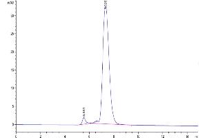 The purity of Mouse PILRA is greater than 95 % as determined by SEC-HPLC. (PILRA Protein (AA 32-197) (Fc Tag))
