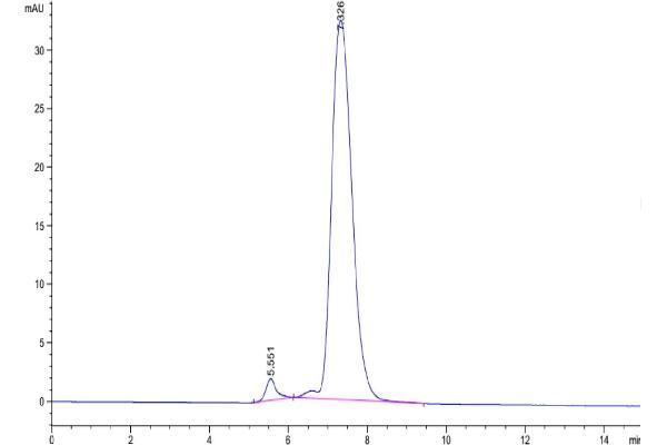 PILRA Protein (AA 32-197) (Fc Tag)