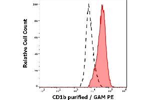 Separation of cells stained using anti-human CD1b (SN13) purified antibody (concentration in sample 9 μg/mL, GAM PE, red-filled) from cells unstained by primary antibody (GAM PE, black-dashed) in flow cytometry analysis (surface staining) of human stimulated (GM-CSF + IL-4) peripheral blood mononuclear cells. (CD1b antibody)