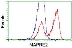 Flow Cytometry (FACS) image for anti-Microtubule-Associated Protein, RP/EB Family, Member 2 (MAPRE2) antibody (ABIN1499321)