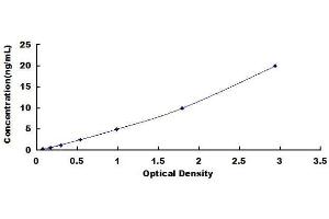 ELISA image for Glutamate Receptor Interacting Protein 1 (GRIP1) ELISA Kit (ABIN1570160) (GRIP1 ELISA Kit)