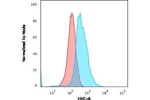 Flow Cytometric Analysis of MOLT-4 cells using CD1a Mouse Monoclonal Antibody (O10) followed by goat anti-Mouse IgG-CF488 (Blue); Isotype control (Red). (CD1a antibody)