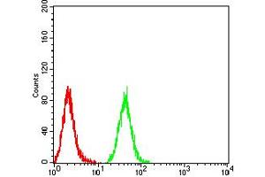 Flow Cytometry (FACS) image for anti-Isocitrate Dehydrogenase 1 (NADP+), Soluble (IDH1) (AA 156-298) antibody (ABIN5921398) (IDH1 antibody  (AA 156-298))