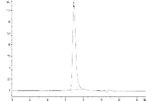 RGMA Protein (AA 48-422) (His-Avi Tag,Biotin)