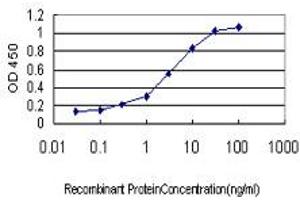 Detection limit for recombinant GST tagged BCL2L14 is approximately 0. (BCL2L14 antibody  (AA 1-327))