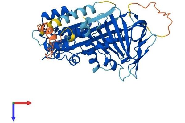 SERPINB2 Protein (AA 1-415) (His tag)
