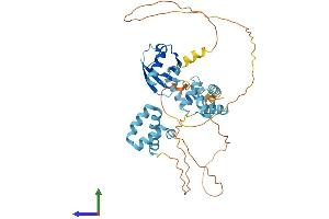Protein Structure (PS) image for RAD23 Homolog B (RAD23B) (AA 1-409) protein (His tag) (ABIN7555160)
