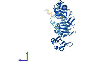 AlphaFold protein structure predicition of Human Recombinant PABPC4L Protein, UniprotID P0CB38 (PABPC4L Protein (AA 1-370) (His tag))