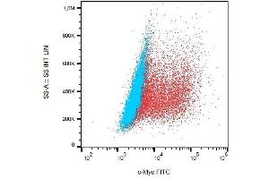 Detection of transfected LST-1-c-Myc in HEK-293 cells (red) compared with nontransfected HEK-293 cells (blue) using mouse monoclonal anti-c-Myc (9E10) FITC. (Myc Tag antibody  (C-Term) (FITC))