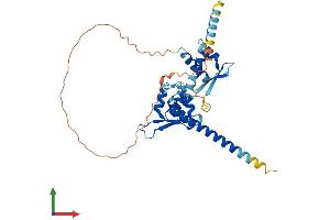 AlphaFold protein structure predicition of Human Recombinant MAGEB18 Protein, UniprotID Q96M61 (MAGEB18 Protein (AA 1-343) (His tag))
