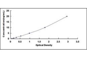 Typical standard curve (PER1 ELISA Kit)