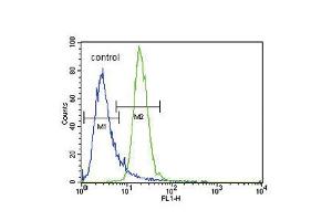 Flow cytometric analysis of K562 cells (right histogram) compared to a negative control cell (left histogram). (PRKAA2 antibody  (Thr172))