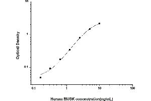 Typical standard curve (MUSK ELISA Kit)