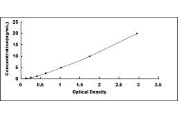 Hephaestin ELISA Kit