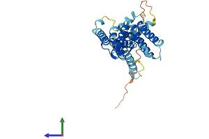 AlphaFold protein structure predicition of Mouse Recombinant Rhbdl2 Protein, UniprotID A2AGA4 (RHBDL2 Protein (AA 1-302) (His tag))