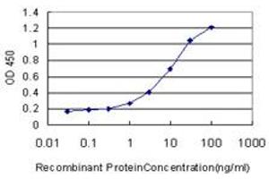 Detection limit for recombinant GST tagged DSC3 is approximately 1ng/ml as a capture antibody. (Desmocollin 3 antibody  (AA 585-684))