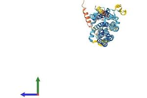 Protein Structure (PS) image for Transmembrane Protein 184B (TMEM184B) (AA 1-407) protein (His tag) (ABIN7544183)