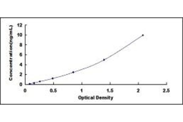 MMP10 ELISA Kit