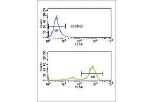Flow Cytometry (FACS) image for anti-Ets Variant 6 (ETV6) antibody (ABIN3003964) (ETV6 antibody)