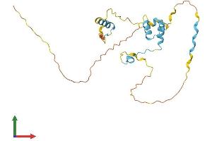 AlphaFold protein structure predicition of Human Recombinant CCDC71L Protein, UniprotID Q8N9Z2 (CCDC71L Protein (AA 1-235) (His tag))