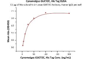 Immobilized Monoclonal A GUCY2C Antibody, Human IgG1 at 1 μg/mL (100 μL/well) can bind Cynomolgus GUCY2C, His Tag (ABIN6973082) with a linear range of 3-25 ng/mL (Routinely tested). (GUCY2C Protein (AA 24-430) (His tag))