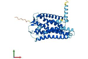 AlphaFold protein structure predicition of Human Recombinant OR2I1P Protein, UniprotID Q8NGU4 (OR2I1P Protein (AA 1-316) (His tag))