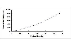 Typical standard curve