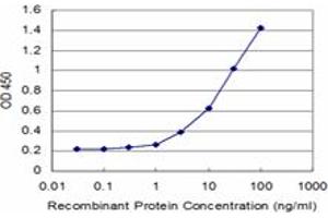 Detection limit for recombinant GST tagged MPHOSPH9 is approximately 1ng/ml as a capture antibody. (MPHOSPH9 antibody  (AA 922-1031))