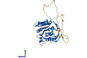 AlphaFold protein structure predicition of Mouse Recombinant Mettl22 Protein, UniprotID Q8R1C6 (METTL22 Protein (AA 1-393) (His tag))