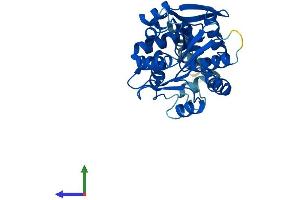 Protein Structure (PS) image for Mesoderm Specific Transcript (MEST) (AA 1-335) protein (His tag) (ABIN7549392)