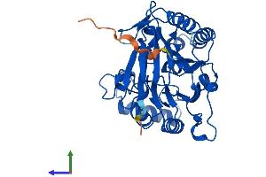 AlphaFold protein structure predicition of Mouse Recombinant Adprm Protein, UniprotID Q99KS6