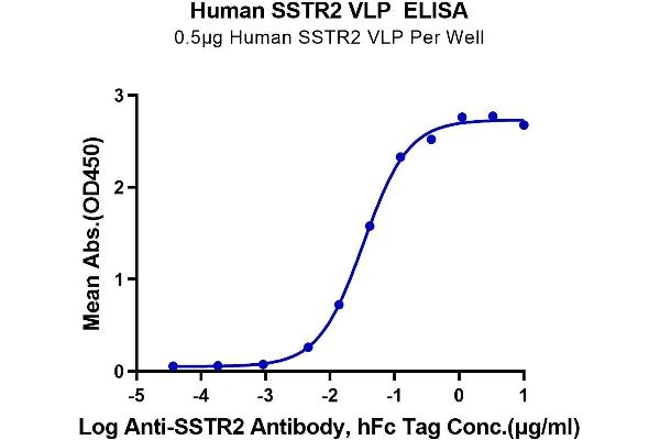 SSTR2 Protein-VLP (AA 1-369)