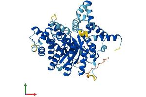 AlphaFold protein structure predicition of Mouse Recombinant Prodh2 Protein, UniprotID Q8VCZ9 (PRODH2 Protein (AA 1-456) (His tag))