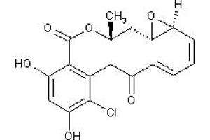 Image no. 1 for Radicicol (ABIN1027739)