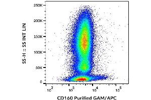 Surface staining of human peripheral blood cells with anti-CD160 (BY55) purified / GAM-APC. (CD160 antibody)