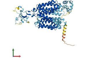 Protein Structure (PS) image for Solute Carrier Family 22 (Organic Anion/urate Transporter), Member 12 (SLC22A12) (AA 1-553) protein (His tag) (ABIN7551708)