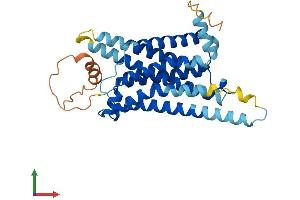 AlphaFold protein structure predicition of Mouse Recombinant Mc4r Protein, UniprotID P56450 (MC4R Protein (AA 1-332) (His tag))