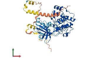 AlphaFold protein structure predicition of Human Recombinant SGK1 Protein, UniprotID O00141 (SGK1 Protein (AA 1-431) (His tag))