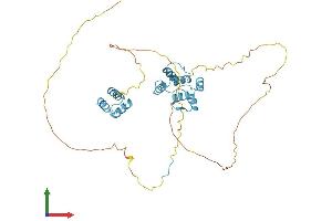 AlphaFold protein structure predicition of Mouse Recombinant Dek Protein, UniprotID Q7TNV0