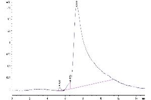 Size-exclusion chromatography-High Pressure Liquid Chromatography (SEC-HPLC) image for Lymphocyte-Activation Gene 3 (LAG3) (AA 23-434) protein (His tag) (ABIN7275113)