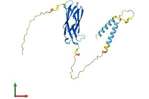 AlphaFold protein structure predicition of Mouse Recombinant Mospd3 Protein, UniprotID Q8BGG6 (MOSPD3 Protein (AA 1-235) (His tag))