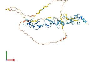 AlphaFold protein structure predicition of Mouse Recombinant Fblim1 Protein, UniprotID Q71FD7 (FBLIM1 Protein (AA 1-375) (His tag))
