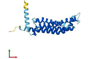 Protein Structure (PS) image for Transmembrane Protein 126A (TMEM126A) (AA 1-195) protein (His tag) (ABIN7544097)