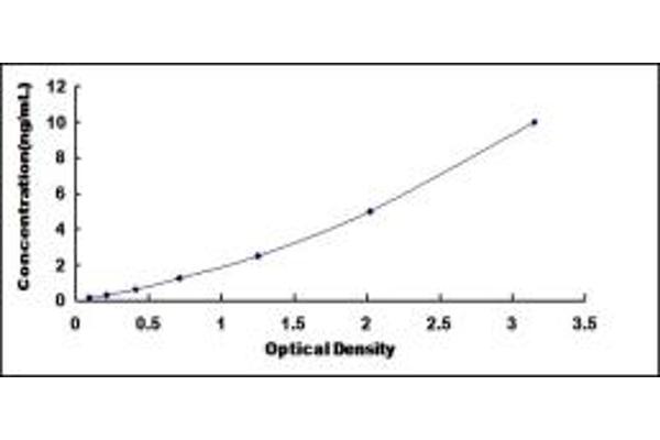 LMYC ELISA Kit